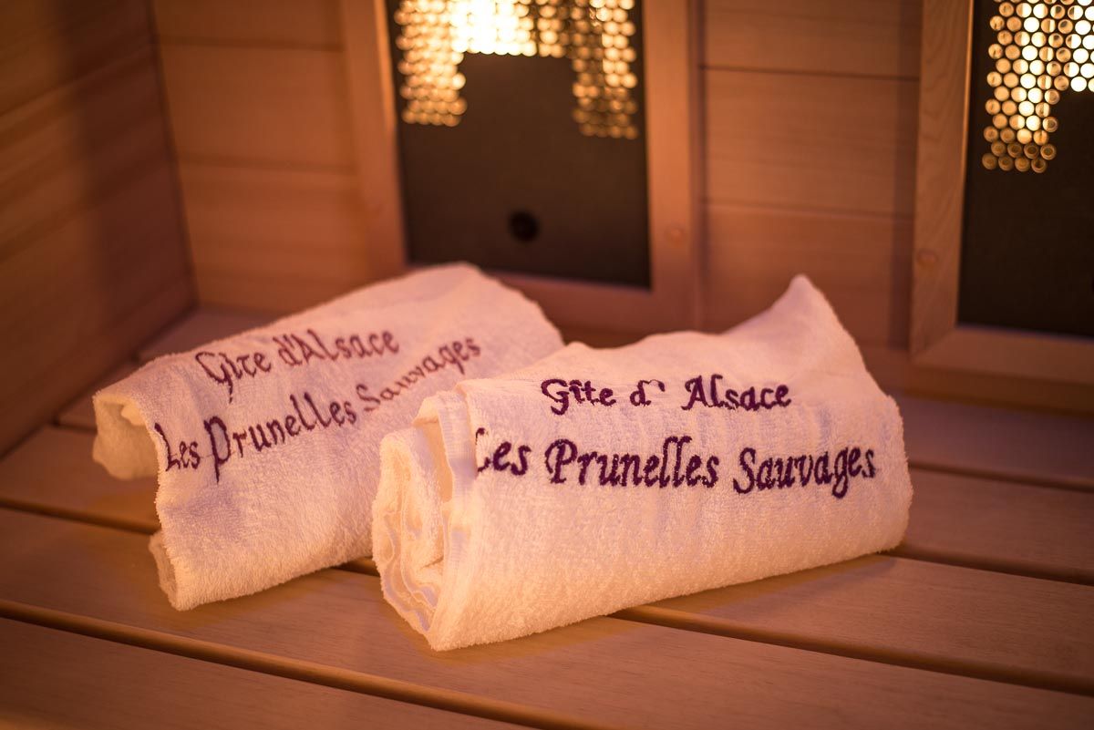Gites insolites avec Spa en Alsace  Les Prunelles Sauvages - roulotte - chalet - jacuzzi - sauna- vue panoramique - Val de Villé