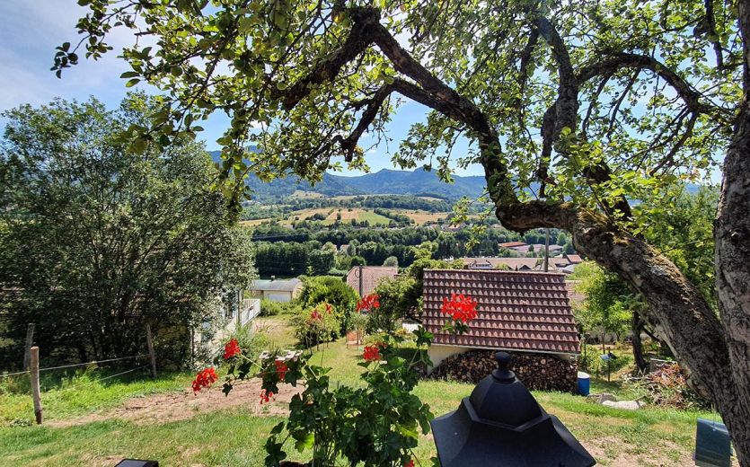 Gites d'Alsace et Spa Les Prunelles Sauvages - chalet en rondin de bois - jacuzzi - sauna- vue panoramique - Val de Villé